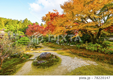 紅葉の魚山大原寺、実光院　旧理覚院（りかくいん）庭園 78220147