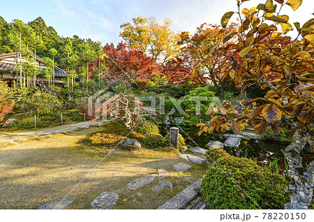 紅葉の魚山大原寺、実光院 旧理覚院(りかくいん)庭園 紅葉の魚山大原寺、実光院 旧理覚院(りかくいん)庭園 78220150