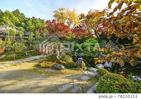 紅葉の魚山大原寺、実光院　旧理覚院（りかくいん）庭園 78220153