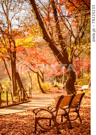 紅葉シーズンの石神井公園・ベンチ 紅葉シーズンの石神井公園・ベンチ 78220235