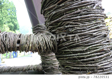 越前池田町のかずら橋（福井県 池田町） 78220531