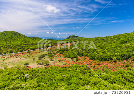 山ツツジ咲く沼の原と谷川連峰 山ツツジ咲く沼の原と谷川連峰 78220951