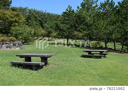 公園のベンチ 公園のベンチ 78221002