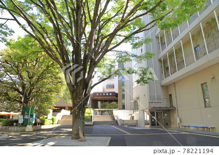 狛江市役所　狛江市 78221194