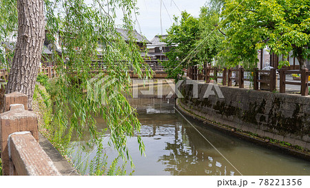 日本の観光名所 千葉県香取市佐原 柳の木と水路の風景 の写真素材