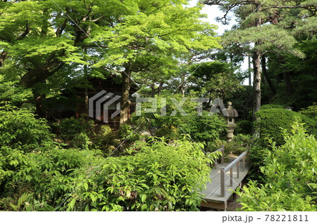 尚古荘　西尾市歴史公園（愛知県西尾市） 78221811