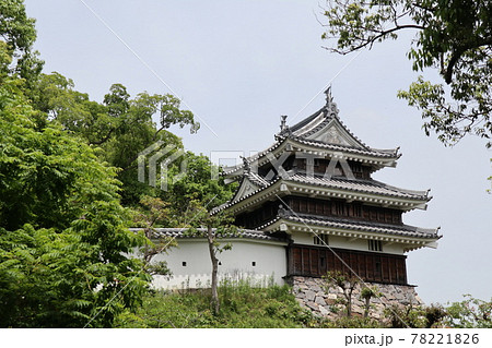 西尾市歴史公園の本丸丑寅櫓（愛知県西尾市） 78221826