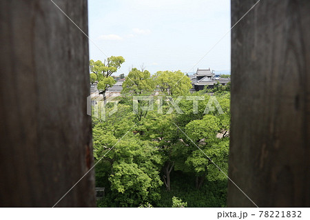 西尾市歴史公園の本丸丑寅櫓（愛知県西尾市） 78221832