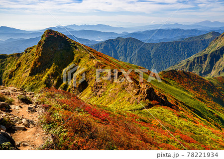 秋の谷川岳トマの耳と山稜 78221934