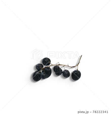 Close up view of fresh dark purple grapes isolated on white background. added copy space for text. Close up view of fresh dark purple grapes isolated on white background. added copy space for text. 78222341