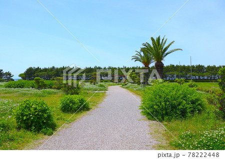 一色漁港 交流広場 一色漁港 交流広場 78222448