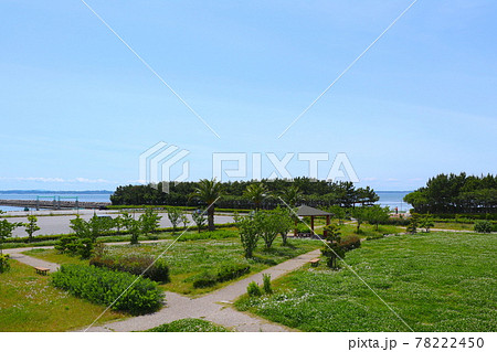 一色漁港 交流広場 一色漁港 交流広場 78222450