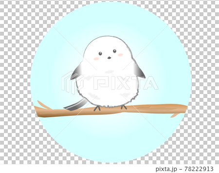 シマエナガ イラストのイラスト素材 [78222913] - PIXTA