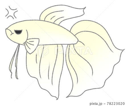 不機嫌なベタ（白色） 78223020