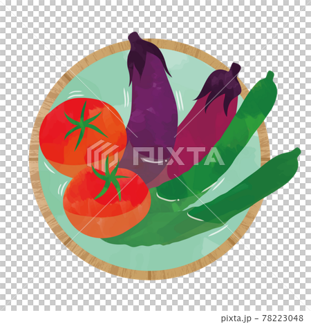 桶に入った夏野菜 水彩風タッチのイラスト素材