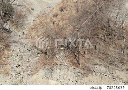 埼玉県秩父郡小鹿野町のようばけの風景 埼玉県秩父郡小鹿野町のようばけの風景 78223085