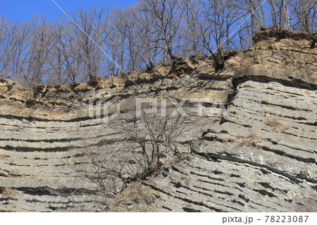 埼玉県秩父郡小鹿野町のようばけの風景 78223087
