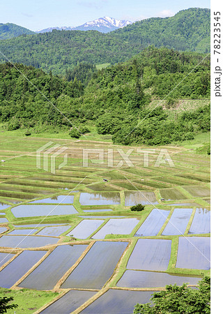 田植え　山形県　椹平の棚田 78223545