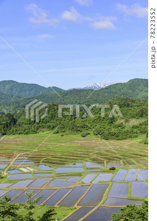 田植え　山形県　椹平の棚田 78223552