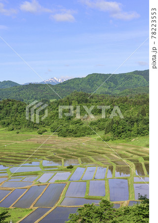 田植え 山形県 椹平の棚田 田植え 山形県 椹平の棚田 78223553