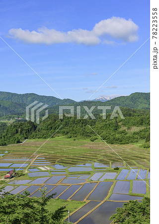 田植え　山形県　椹平の棚田 78223558