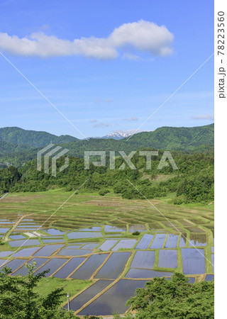 田植え　山形県　椹平の棚田 78223560
