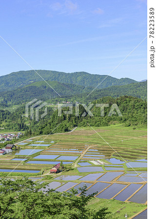 田植え 山形県 椹平の棚田 田植え 山形県 椹平の棚田 78223589