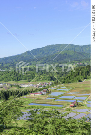 田植え　山形県　椹平の棚田 78223590