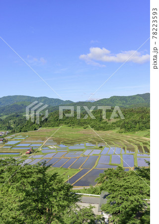 田植え　山形県　椹平の棚田 78223593