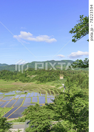田植え　山形県　椹平の棚田 78223594