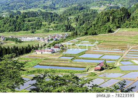 田植え　山形県　椹平の棚田 78223595