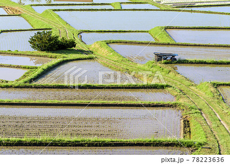 田植え　山形県　椹平の棚田 78223636