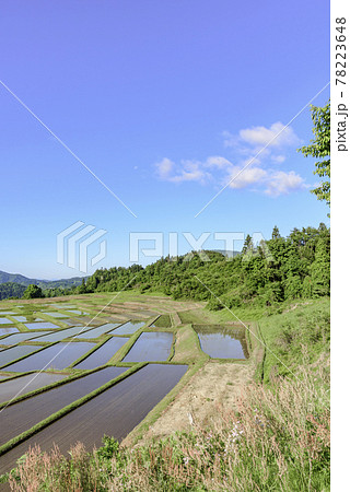 田植え 山形県 椹平の棚田 田植え 山形県 椹平の棚田 78223648