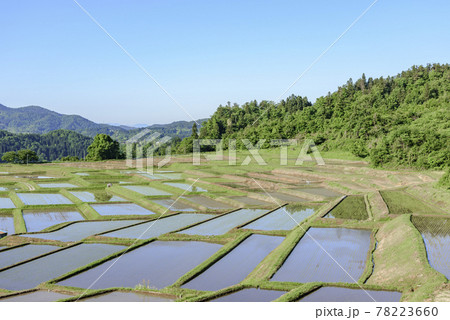 田植え　山形県　椹平の棚田 78223660