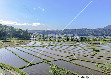 田植え　山形県　椹平の棚田 78223665
