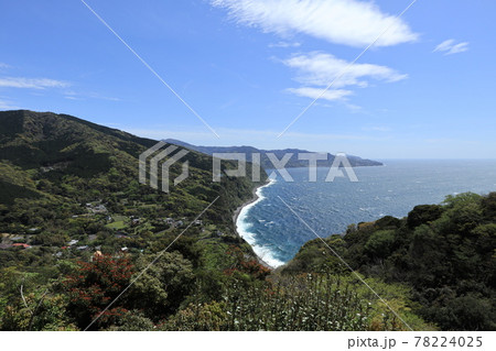 伊豆半島の西伊豆の海岸線 伊豆半島の西伊豆の海岸線 78224025