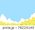 ひまわり畑と入道雲の背景イラスト ひまわり畑と入道雲の背景イラスト 78224140