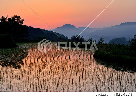 宇陀安田の棚田 78224273