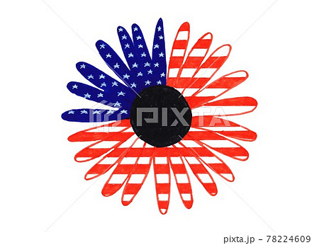 Daisy American flag marker drawing illustration Daisy American flag marker drawing illustration 78224609