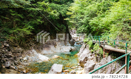 柿其渓谷 柿其渓谷 78224728