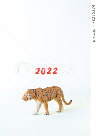 虎のミニチュアとアクリルプレート2022 虎のミニチュアとアクリルプレート2022 78225274