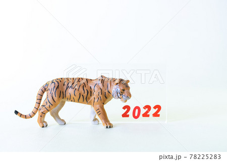 虎のミニチュアとアクリルプレート2022 虎のミニチュアとアクリルプレート2022 78225283