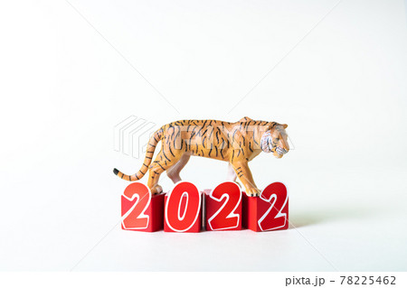 虎のミニチュアと文字ブロック2022 78225462