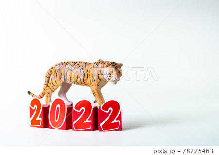 虎のミニチュアと文字ブロック2022 虎のミニチュアと文字ブロック2022 78225463