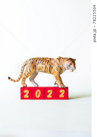虎のミニチュアと文字ブロック2022 虎のミニチュアと文字ブロック2022 78225504