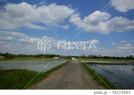 八王子の里山　高月の田んぼ 78225695