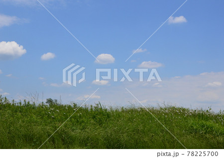 八王子の里山　高月の田んぼ 78225700