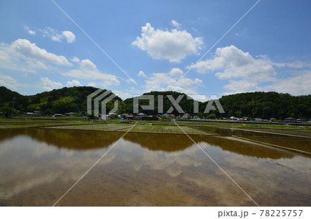 八王子の里山　高月の田んぼ 78225757