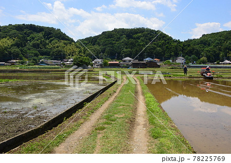 八王子の里山　高月の田んぼ 78225769