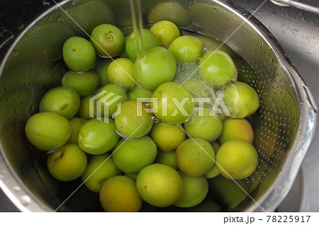 青梅を洗ってヘタを取る 78225917